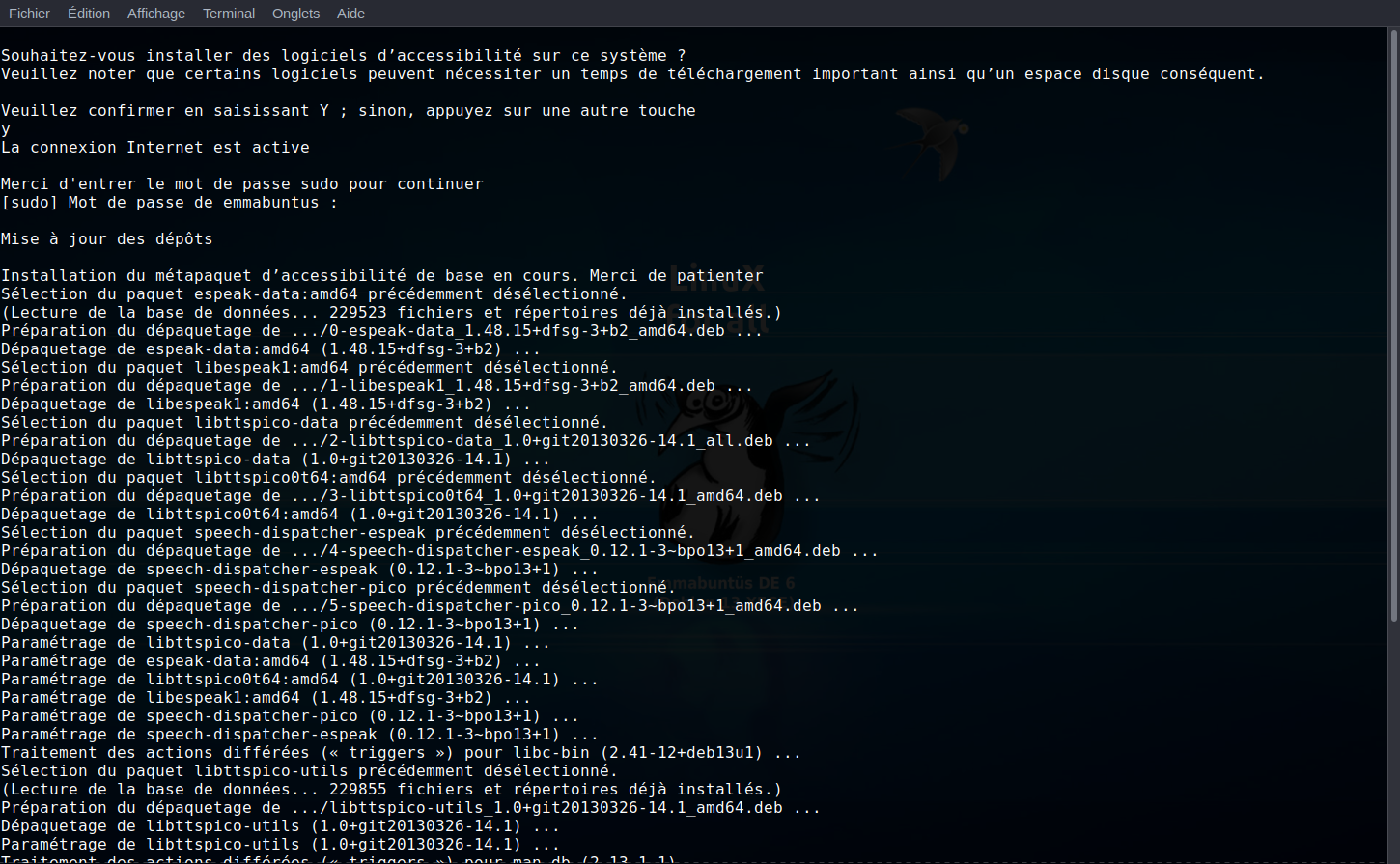Script d’installation sonorisé des fonctions d’accessibilité en mode accessibilité dans l’EmmaDE6 Core